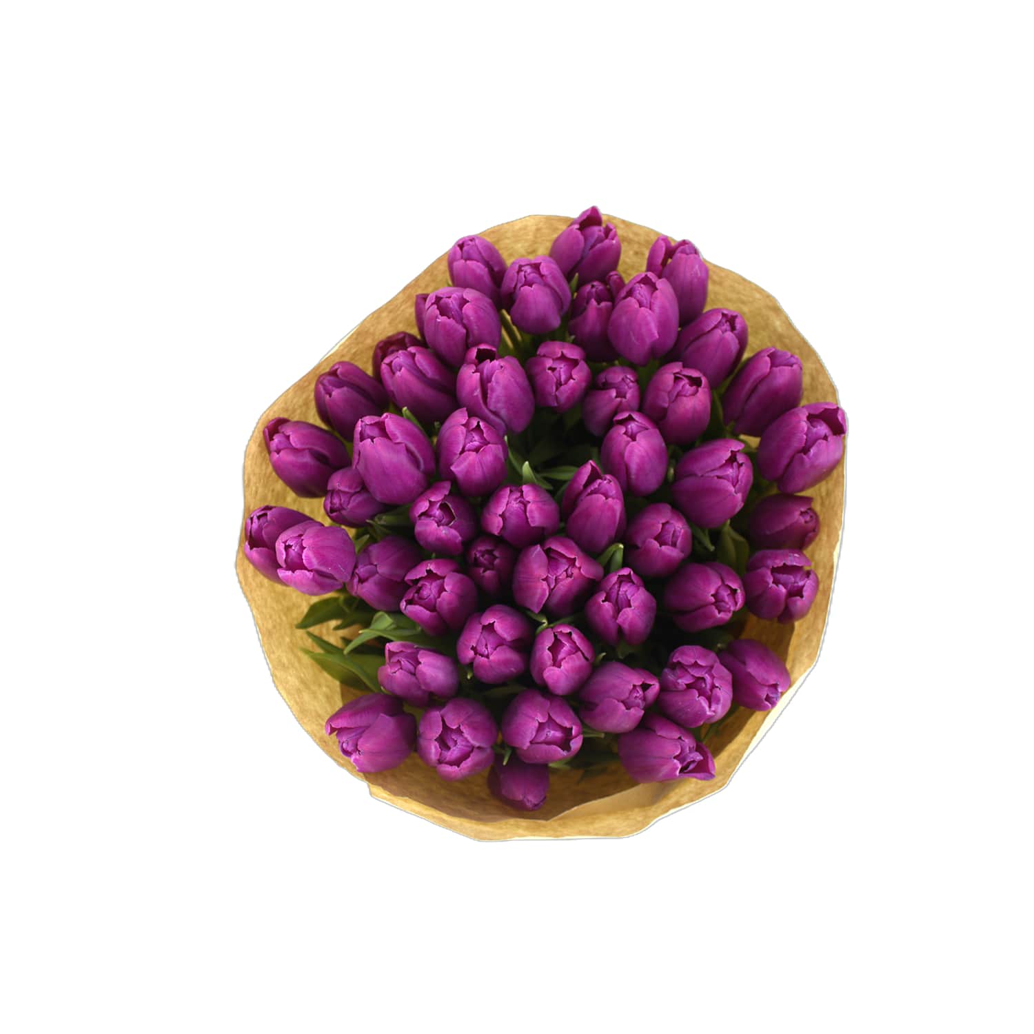 Tulpių puokštė, 1 vnt