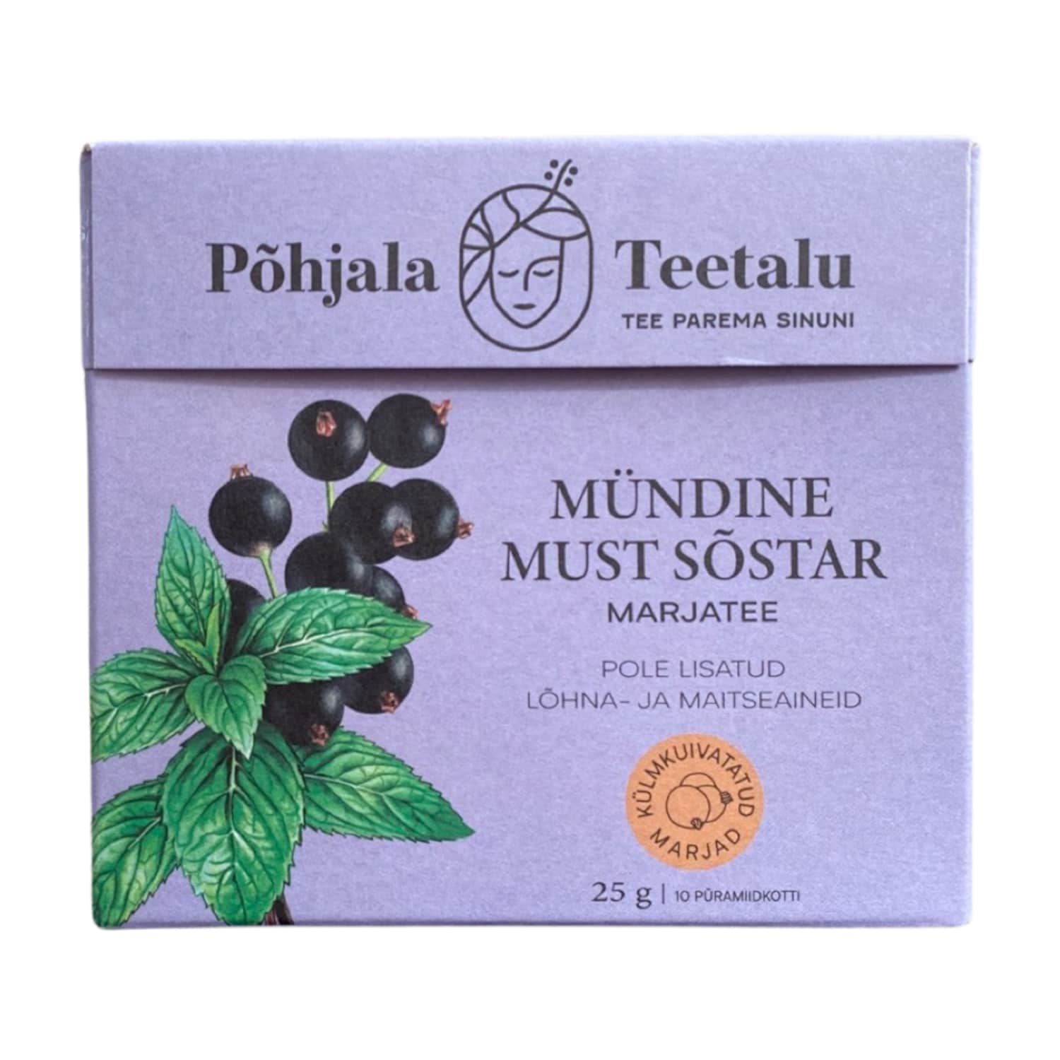 Mündine must sõstar püramiidkotid 10tk Põhjal