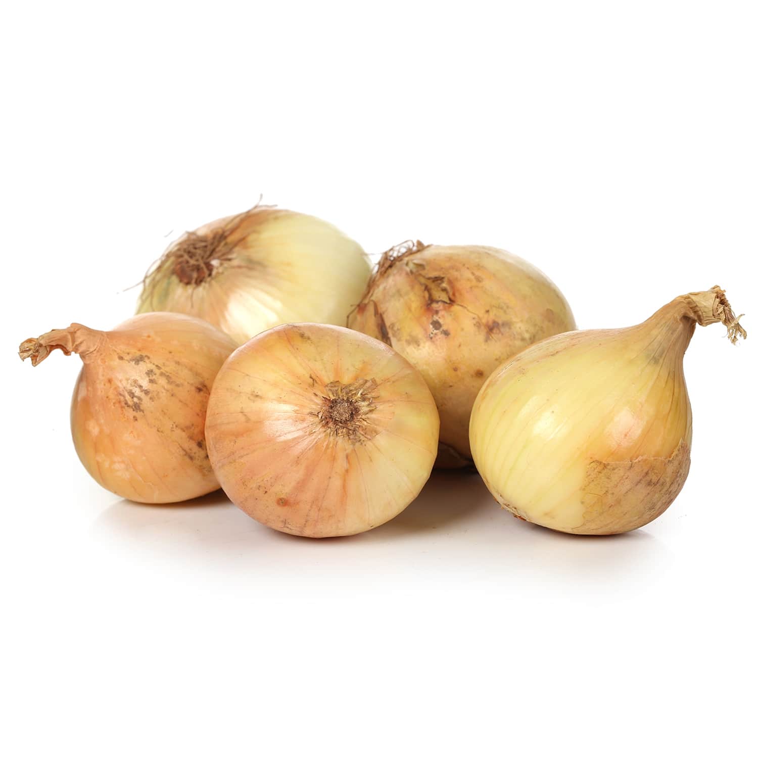 Svogūnai d.40-60mm, kg