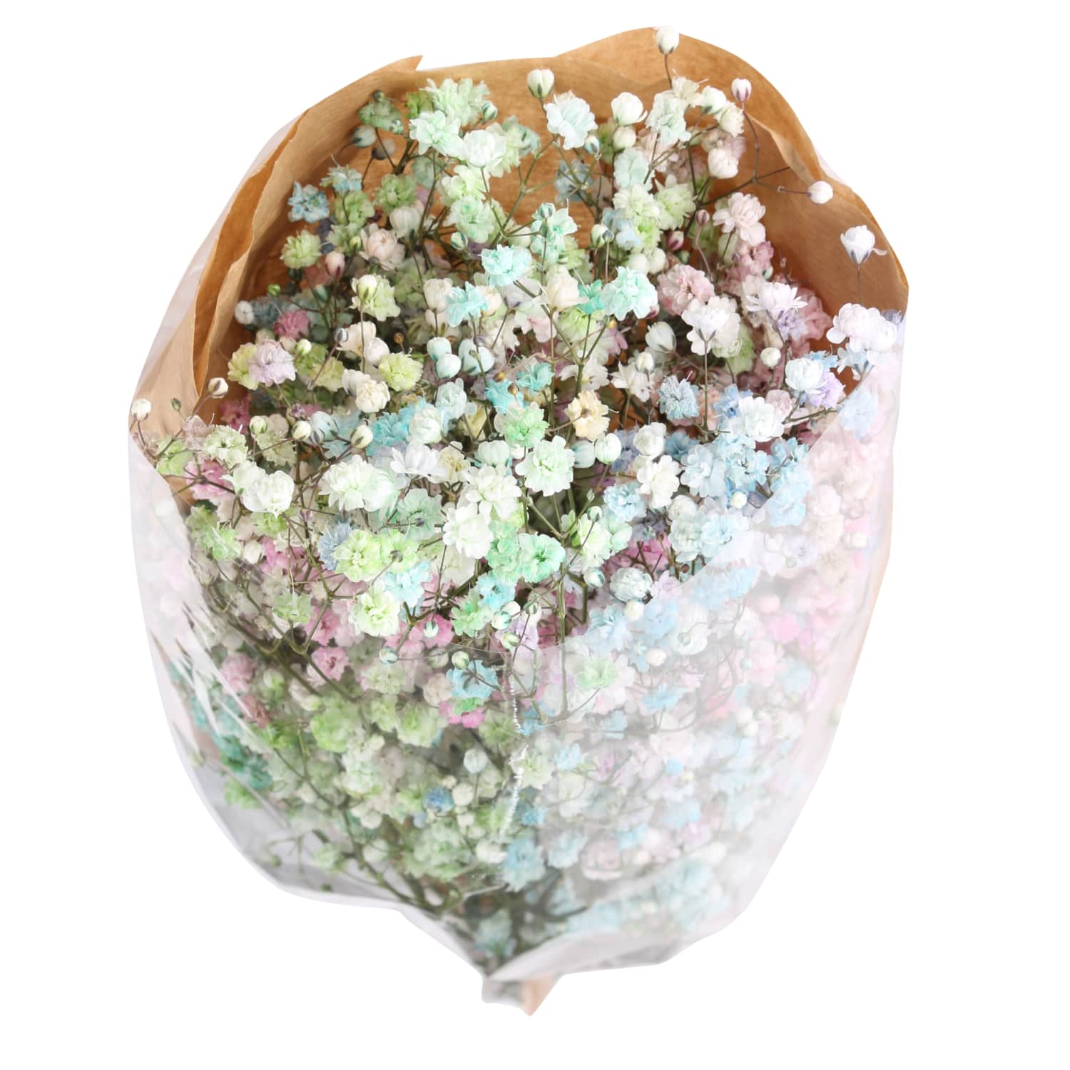 Gipsofilija Helovinas 50cm 3vnt