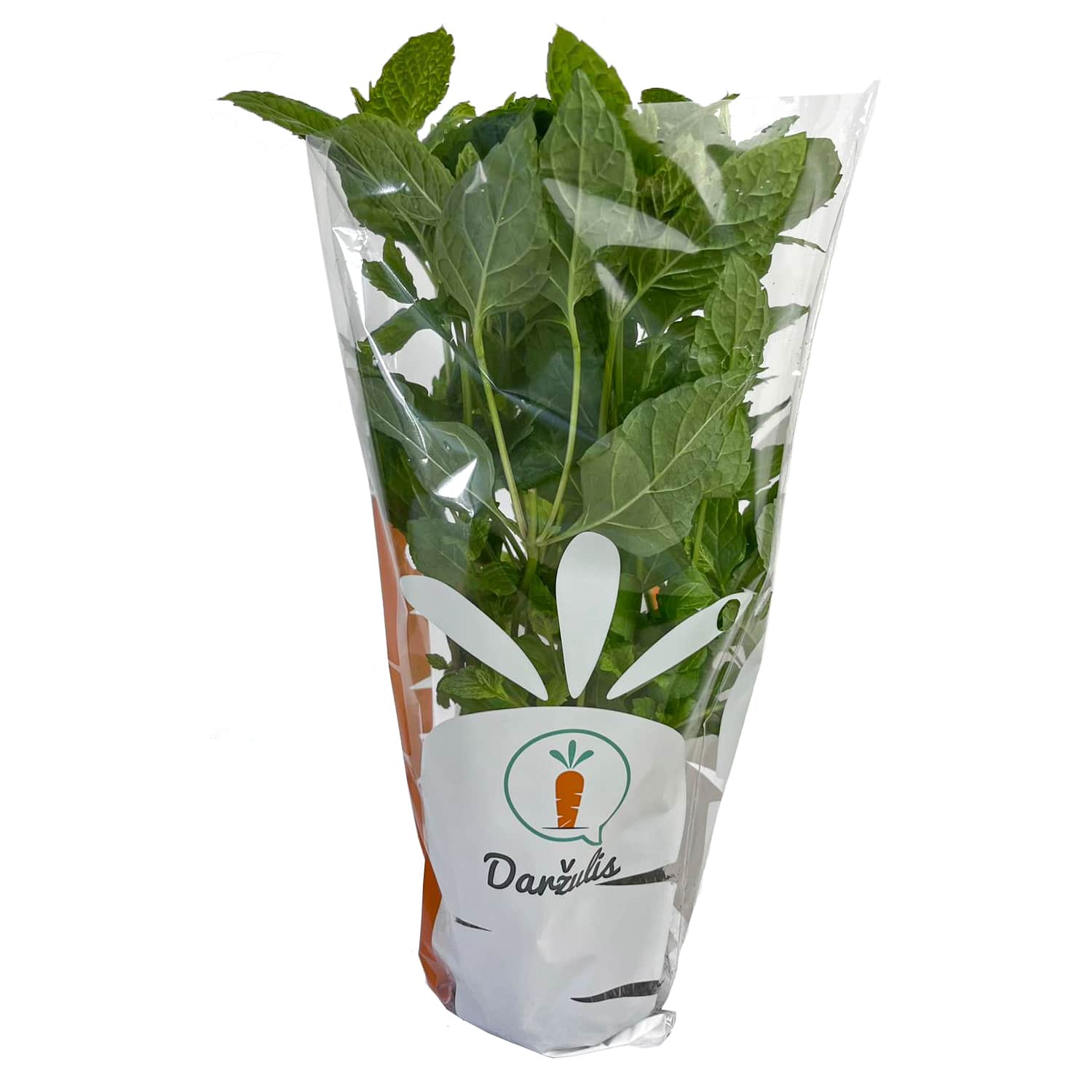 Mėtos vazonėlyje, vnt