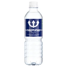 Negazuotas natūralus mineralinis vanduo NEPTŪNAS, 500 ml