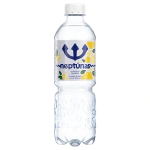 Gazuotas citrinų skonio stalo vanduo NEPTŪNAS LEMON, 500 ml