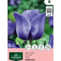 Tulpės AGRONOM TRIUMFA BLUE, AG26