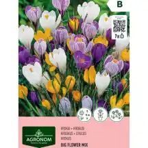Krokai AGRONOM BIG FLOWER MIX, AG26