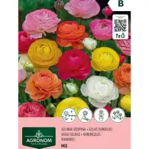 RANUNCULUS AGRONOM mišinys, AG26