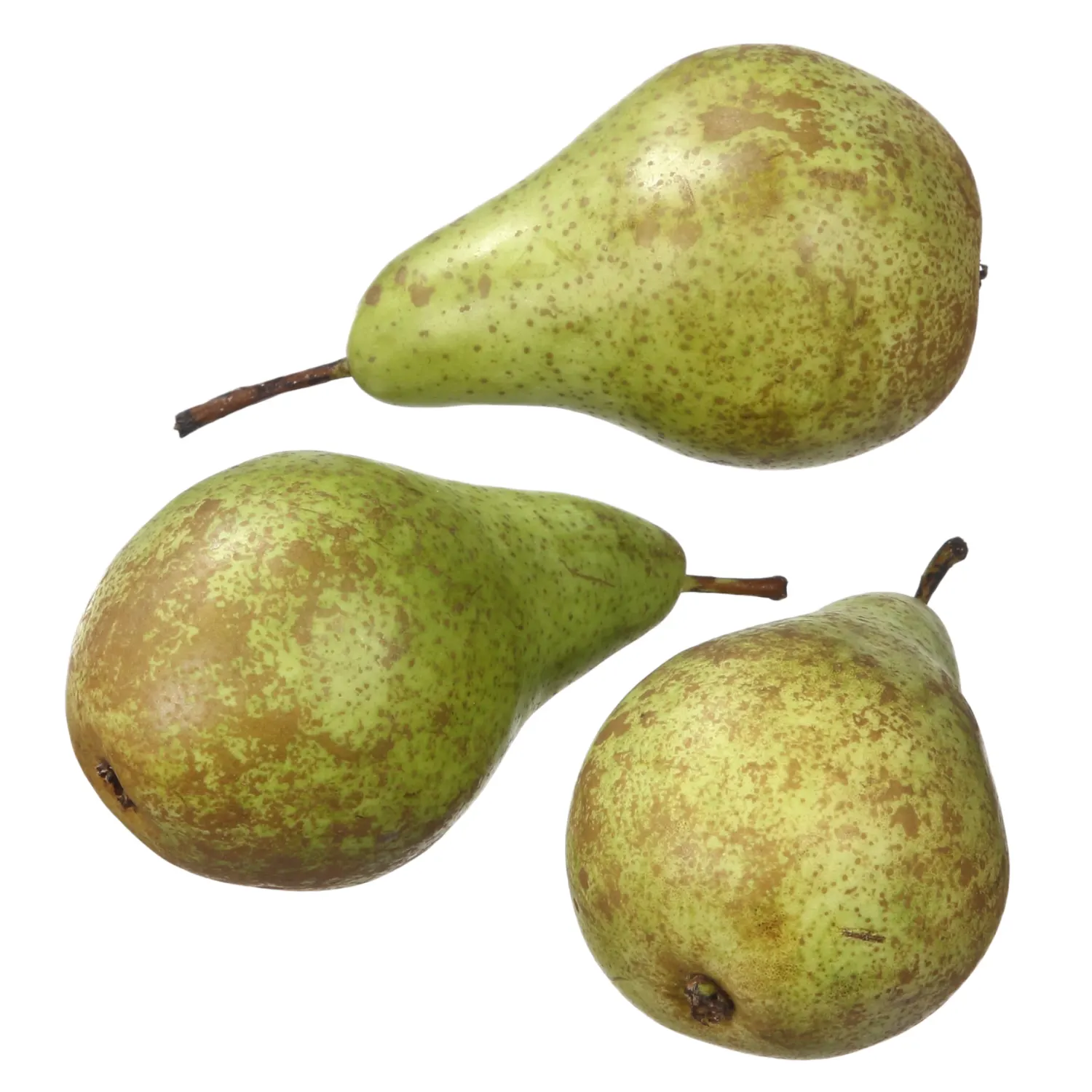 Pirn Comice 1kl, kg