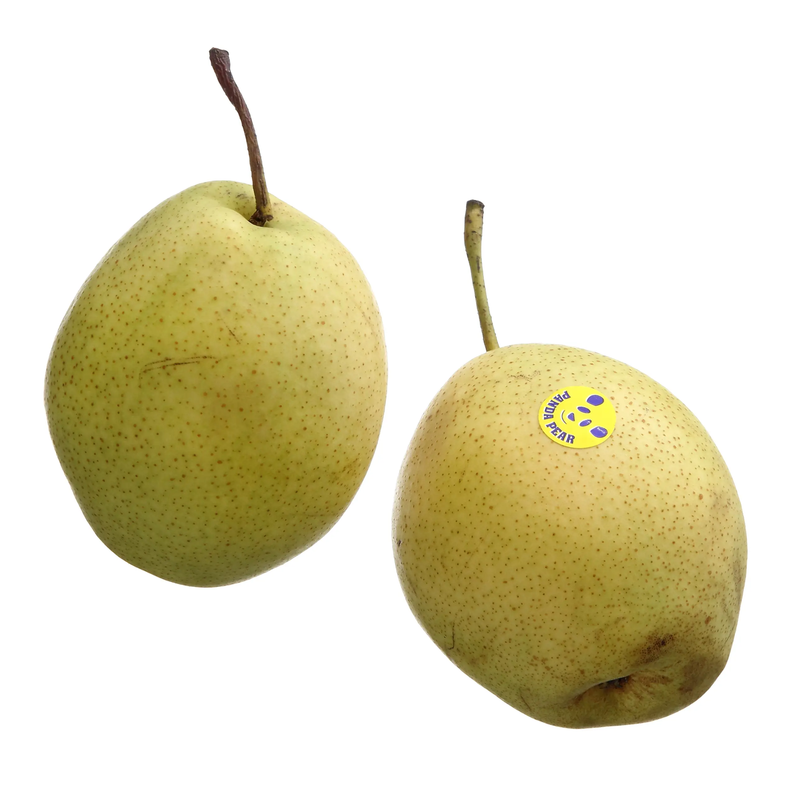 Kriaušės NASHI, 1 kl., 1 kg