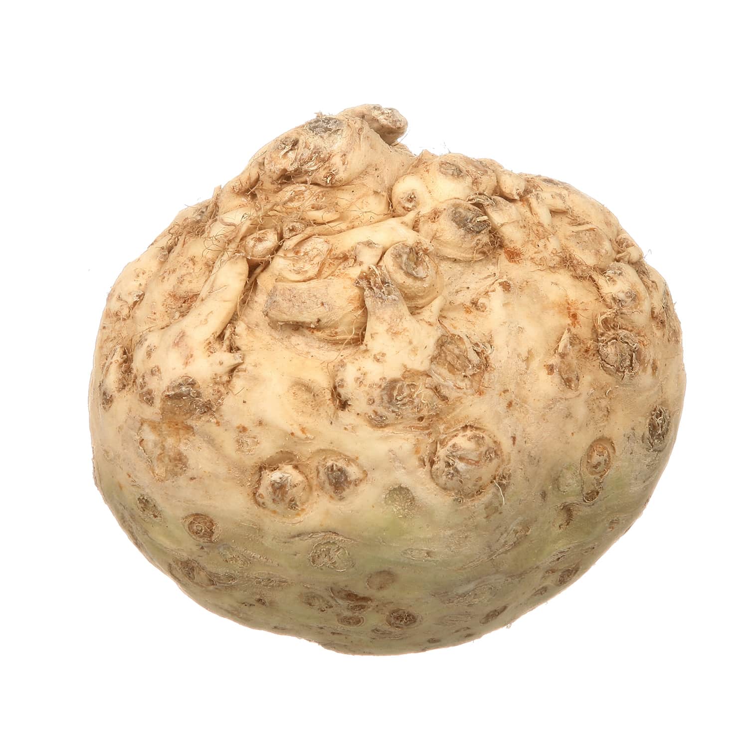 Salierų šaknys, 1 kg
