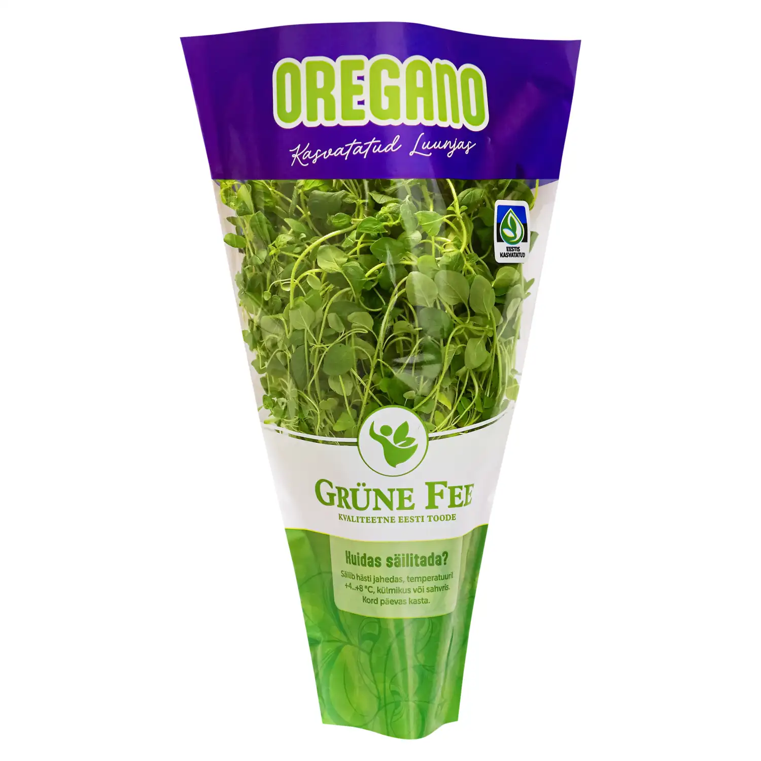 Oregano potis Grüne Fee tk