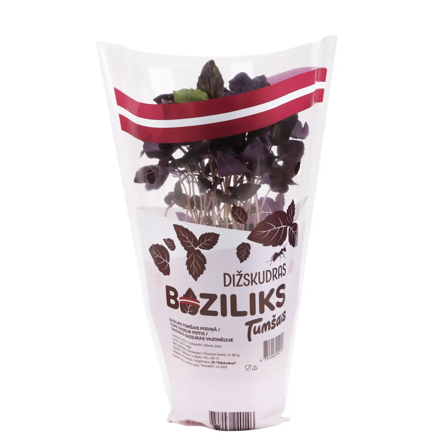 Baziliks tumšais podiņā gab.