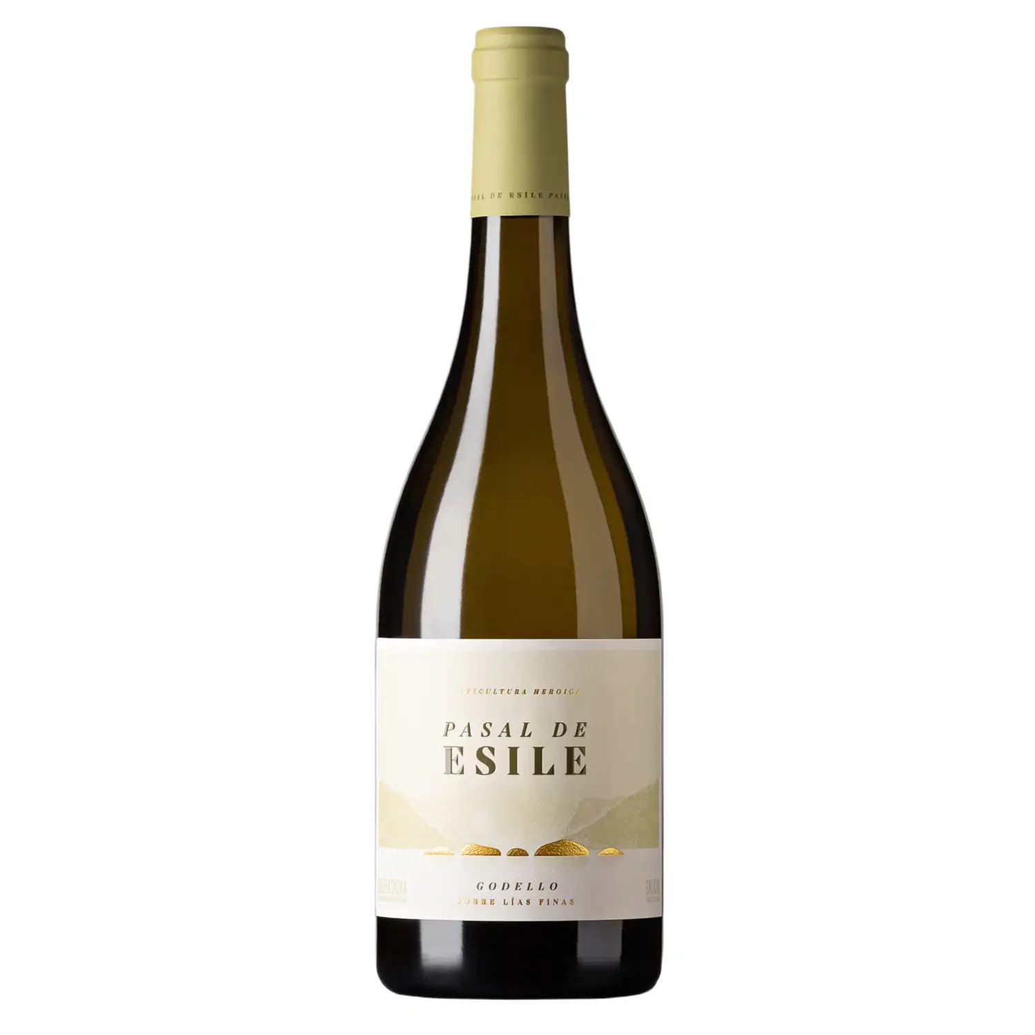 B. s. vynas PASAL DE ESILE GODELLO, 13%, 0,7l