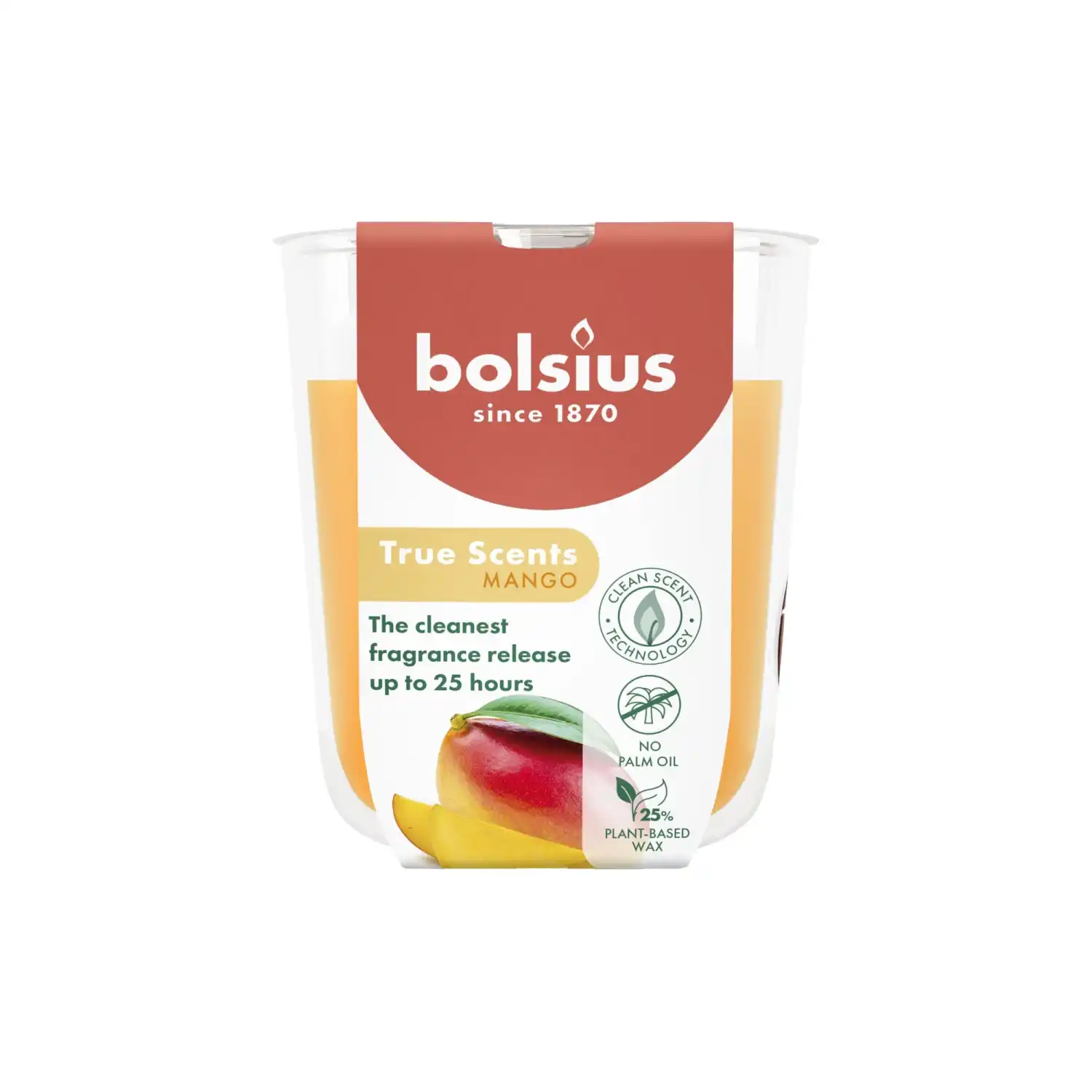 Kvapioji žvakė BOLSIUS Mango, 25 h