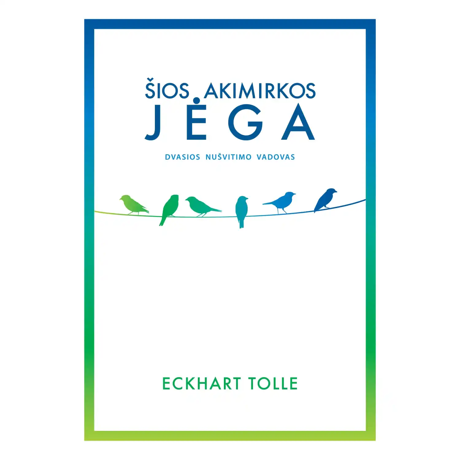 Knyga ŠIOS AKIMIRKOS JĖGA