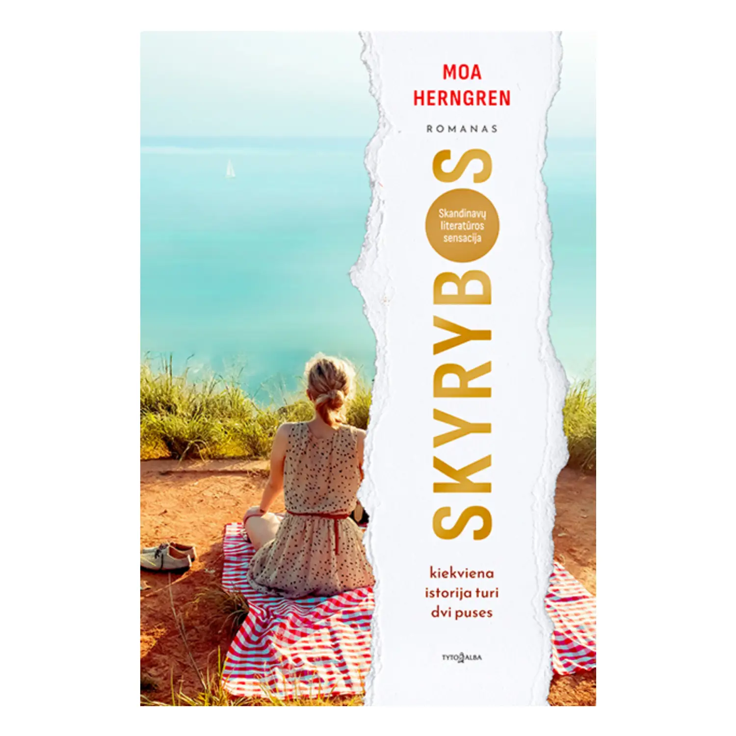 Knyga SKYRYBOS