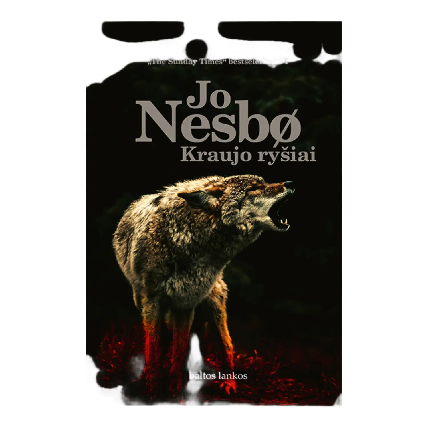 Knyga KRAUJO RYŠIAI