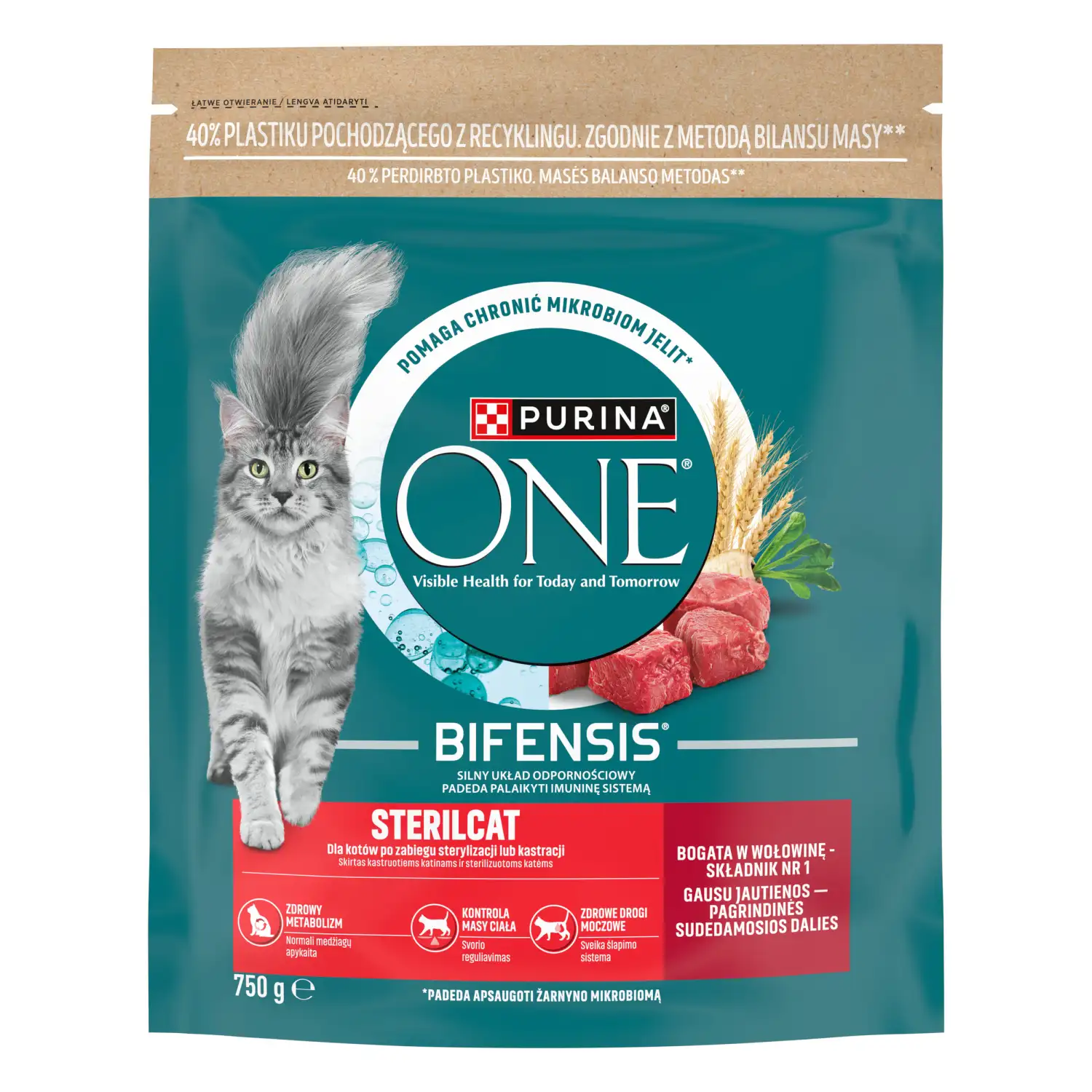 Kassitoit kassidele veisega Purina One 750g