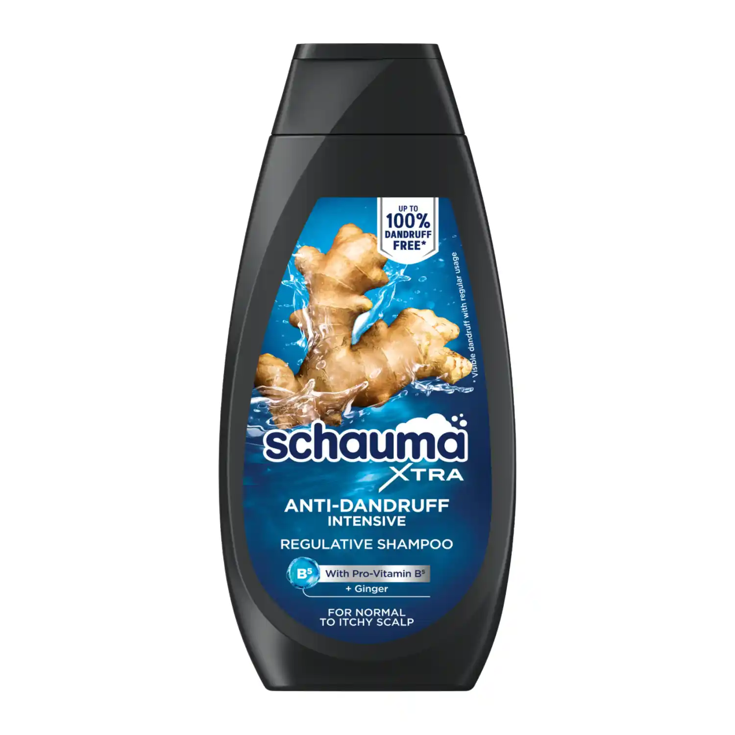 Šamp. Schauma Men Anti-Dandruff Intens. 350ml