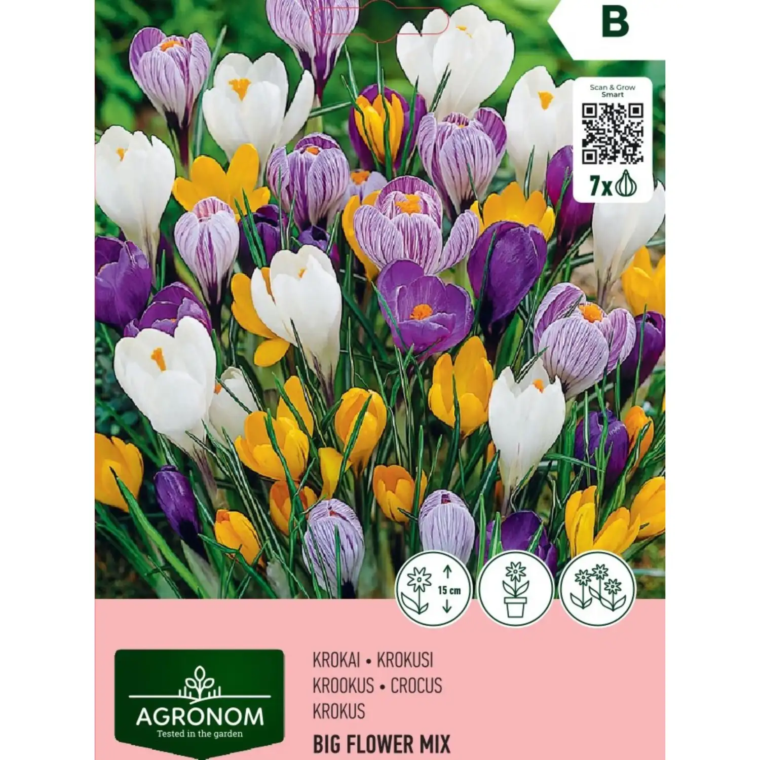 Krokai AGRONOM BIG FLOWER MIX, AG26