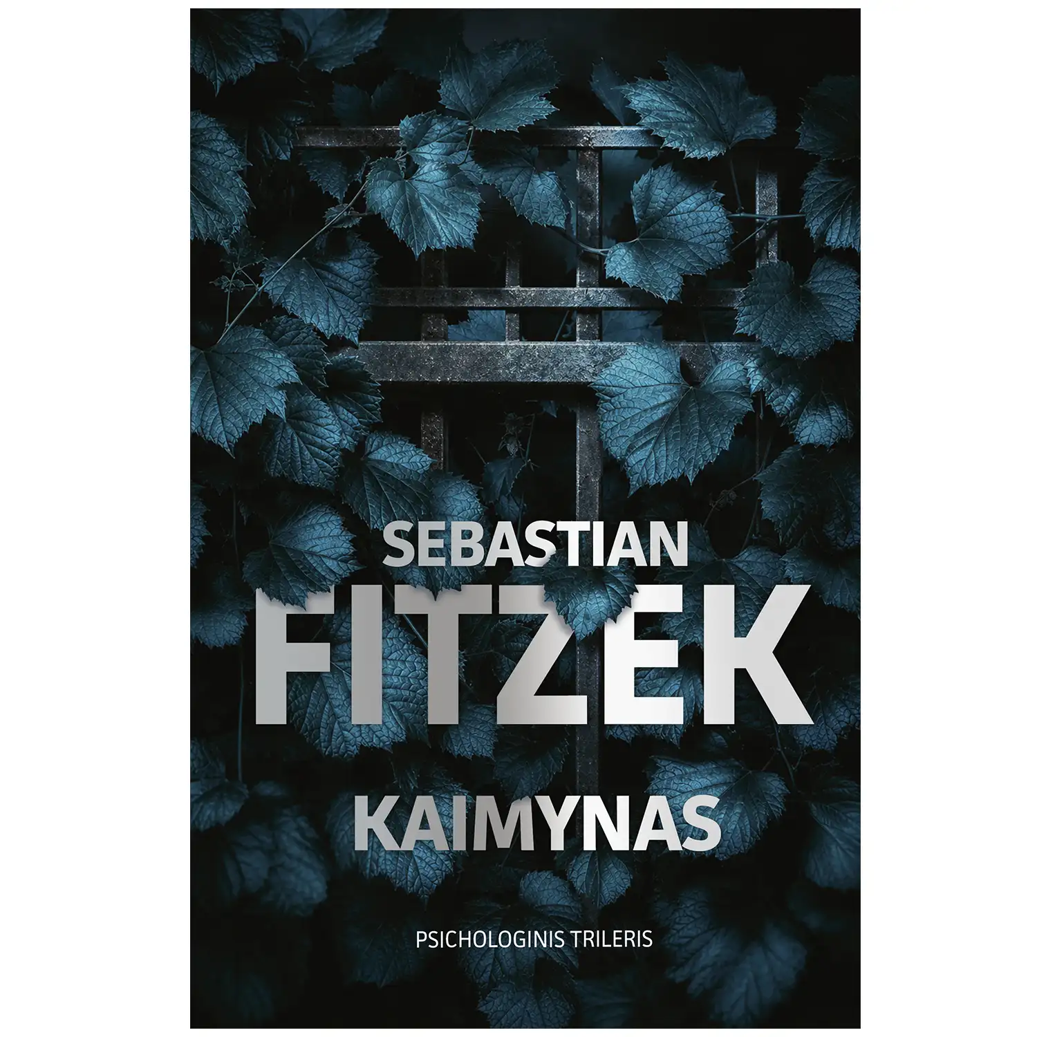 Knyga KAIMYNAS
