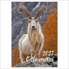 Kalendorius 2027 OŽIO METAI