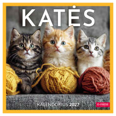 Kal. 2027 KATĖS 33X33