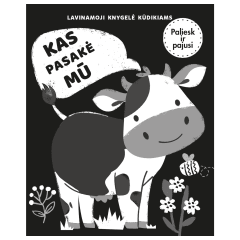 Knyga KAS PASAKĖ MŪ