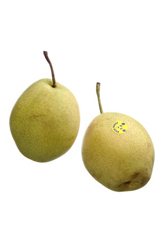Pirnōun Nashi, kg