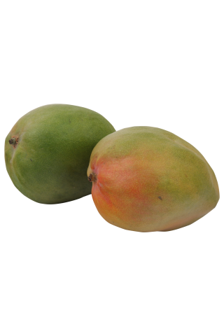 Mango (cal. 7), gab