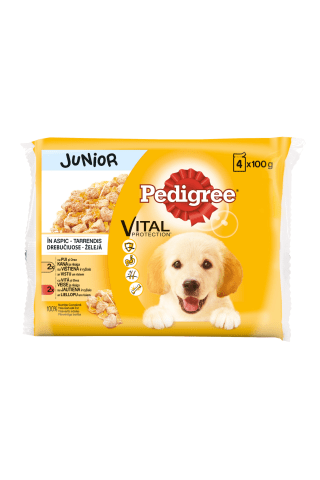 Konservuotas šunų ėdalas PEDIGREE JUNIOR, 4 vnt x 100 g