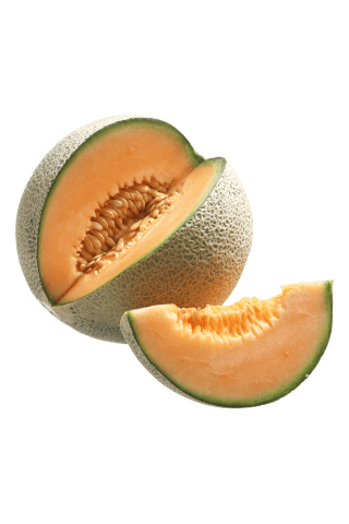 Melone Kantalupe kg