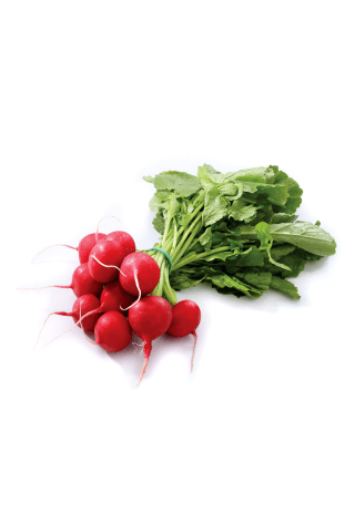 Redīsi pušķīšos 100g