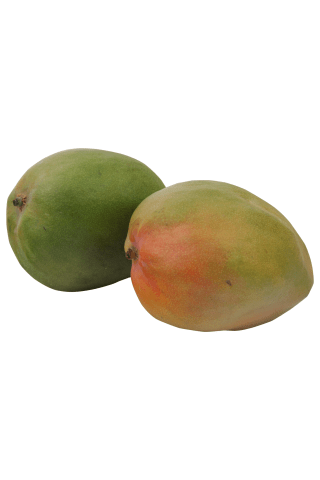 Mango (cal. 9), gab