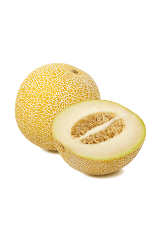 Melone Galia kg