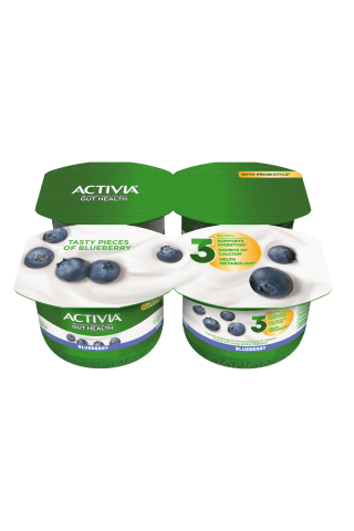 Jogurtas su mėlynėmis ir bifido bakterijomis ACTIVIA ACTIREGULARIS, 2,6% rieb., 480 g