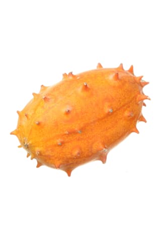 Raguotasis melionas, 1vnt