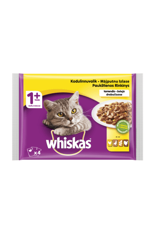 Baltos mėsos rinkinys katėms WHISKAS, 4 vnt × 100 g, 400 g