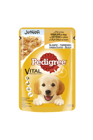 Visavertis ėdalas augantiems šuniukams su vištiena drebučiuose PEDIGREE JUNIOR, 100 g