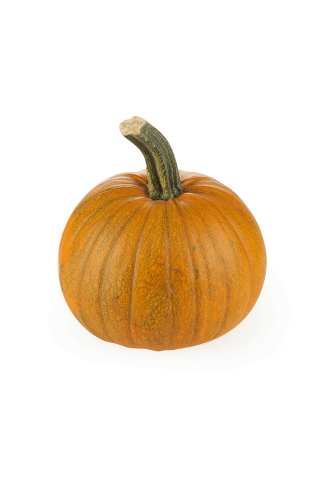 Ķirbis Halloween kg