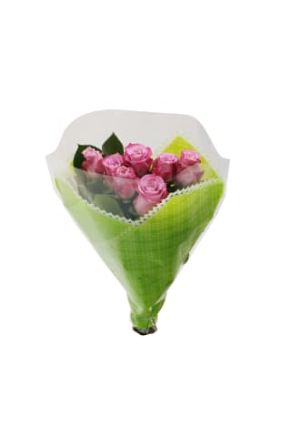 Rozes (T-Hybrids) 7 kāti, 50cm